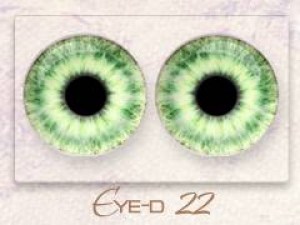 Eye-d 22